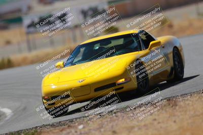 media/Mar-08-2025-Extreme Speed (Sat) [[4abb97269e]]/Purple/Turns 2  and  4 (Session 2)/
